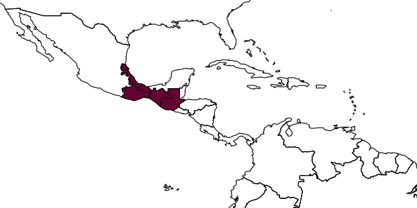 map of Paratrigona guatemalensis     (Schwarz, 1938)